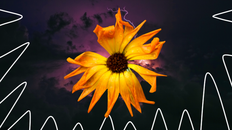 imagem de capa blog com uma flor murcha representando o colaborador desmotivado