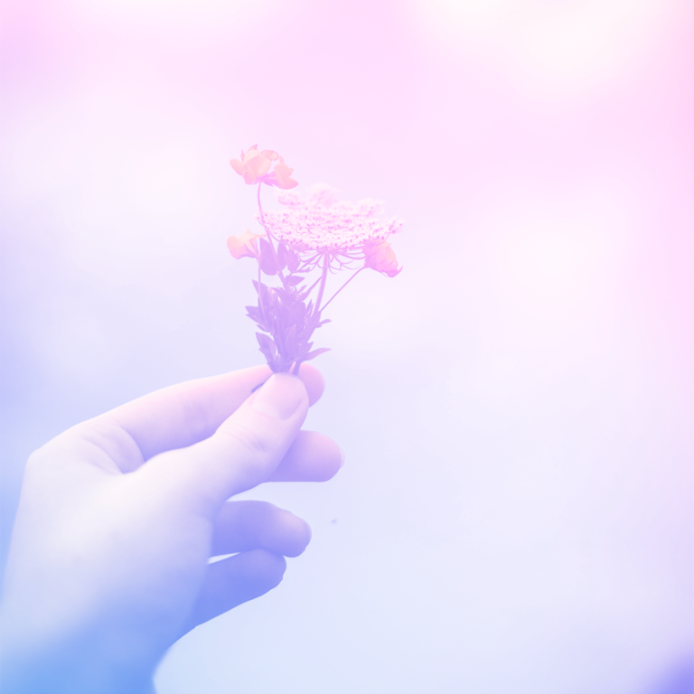 imagem de uma mão segurando um ramo de flor representando a saúde emocional
